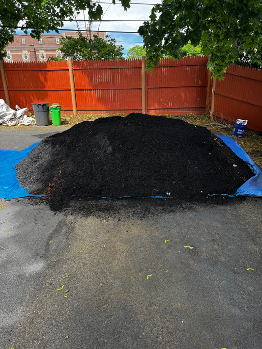 Fresh Black Mulch Delivered – Hyde Park, MA
