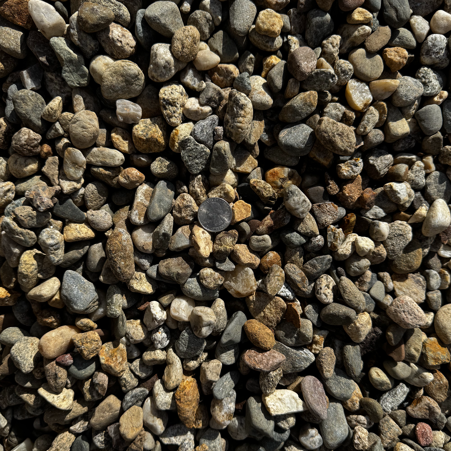 Brown Stone Rock ¾"