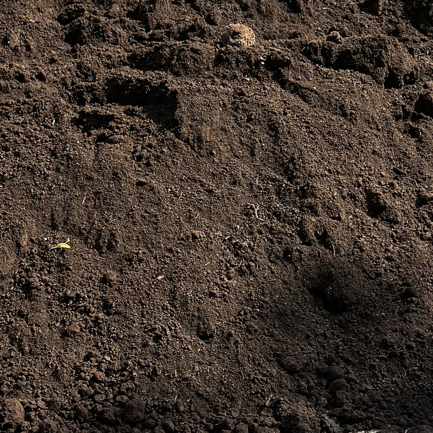 Fill Dirt — unscreened structural fill for grading and elevation work