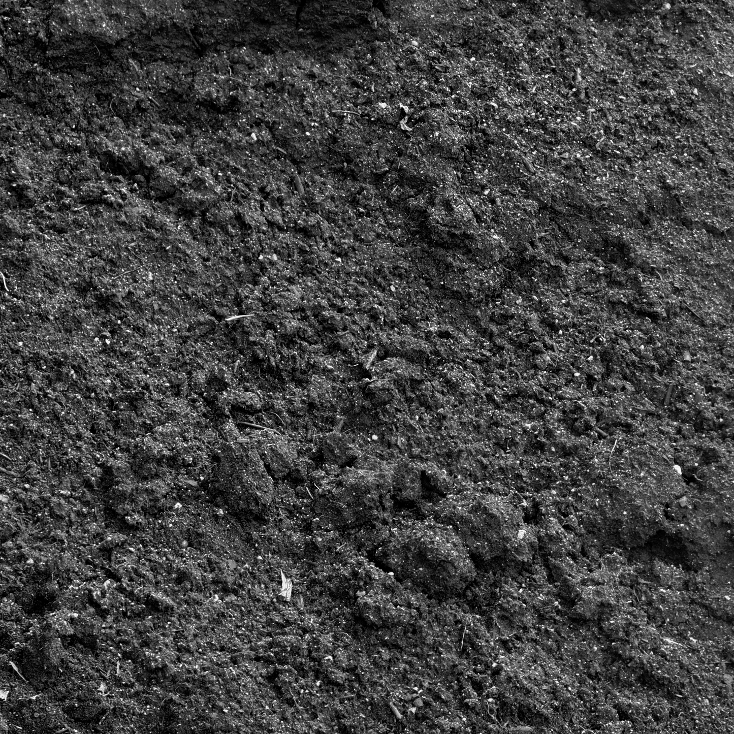 Topsoil Loam ½" Screened