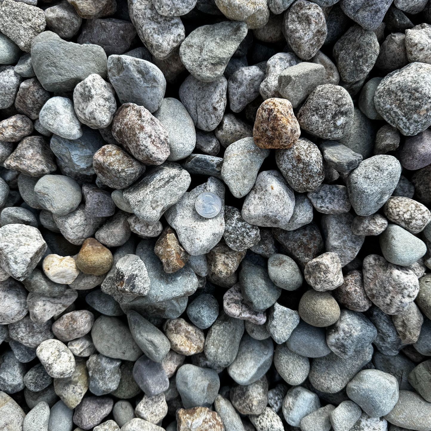Riverbed Rock 1.5"