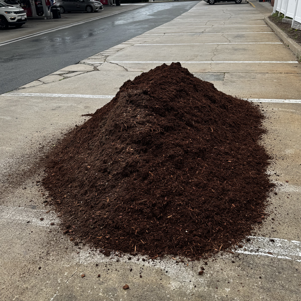 Hemlock Mulch