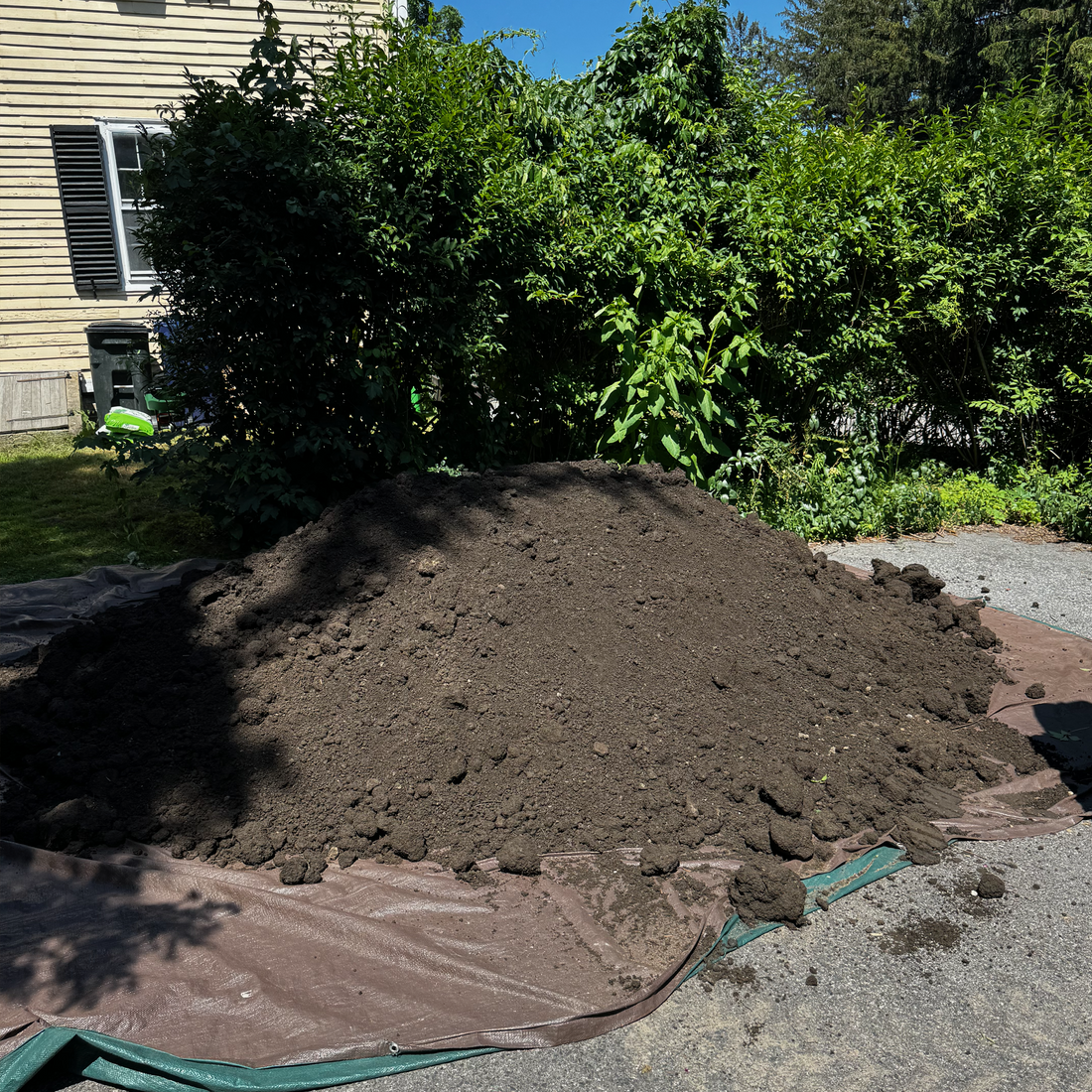  Fresh Loam Drop in Jamaica Plain! 