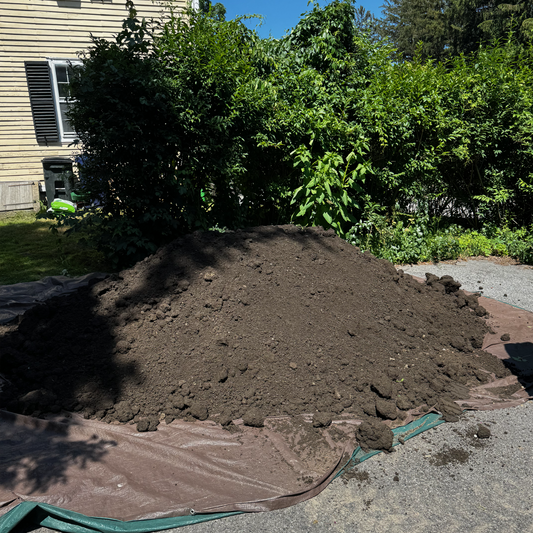  Fresh Loam Drop in Jamaica Plain! 