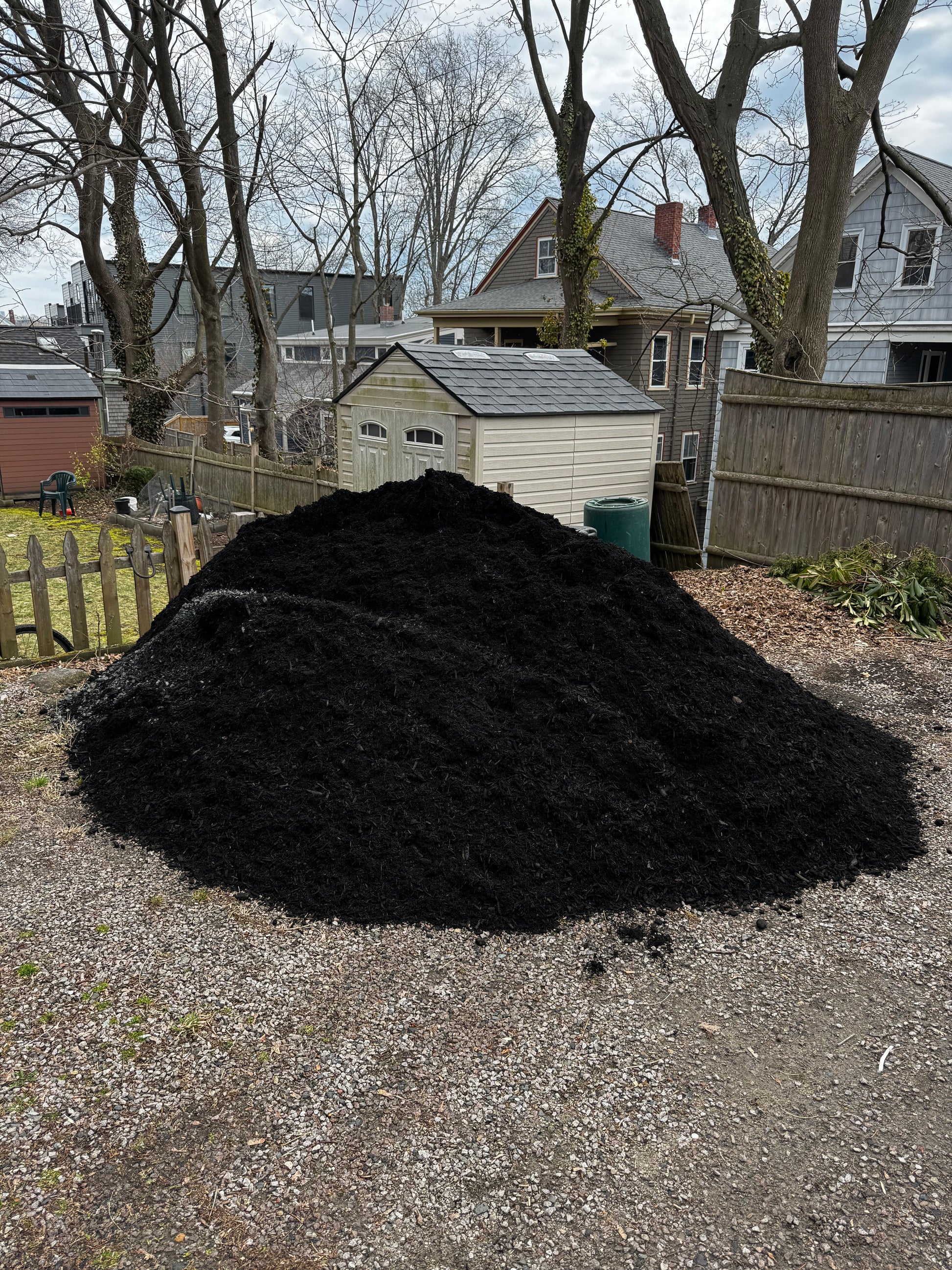 Black Mulch in a Boston landscape bed — Ottr Landscape Supply