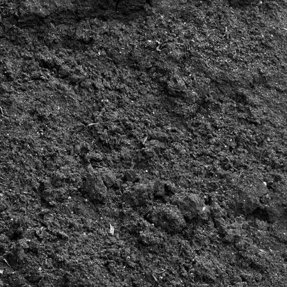 Topsoil Loam ½" Screened