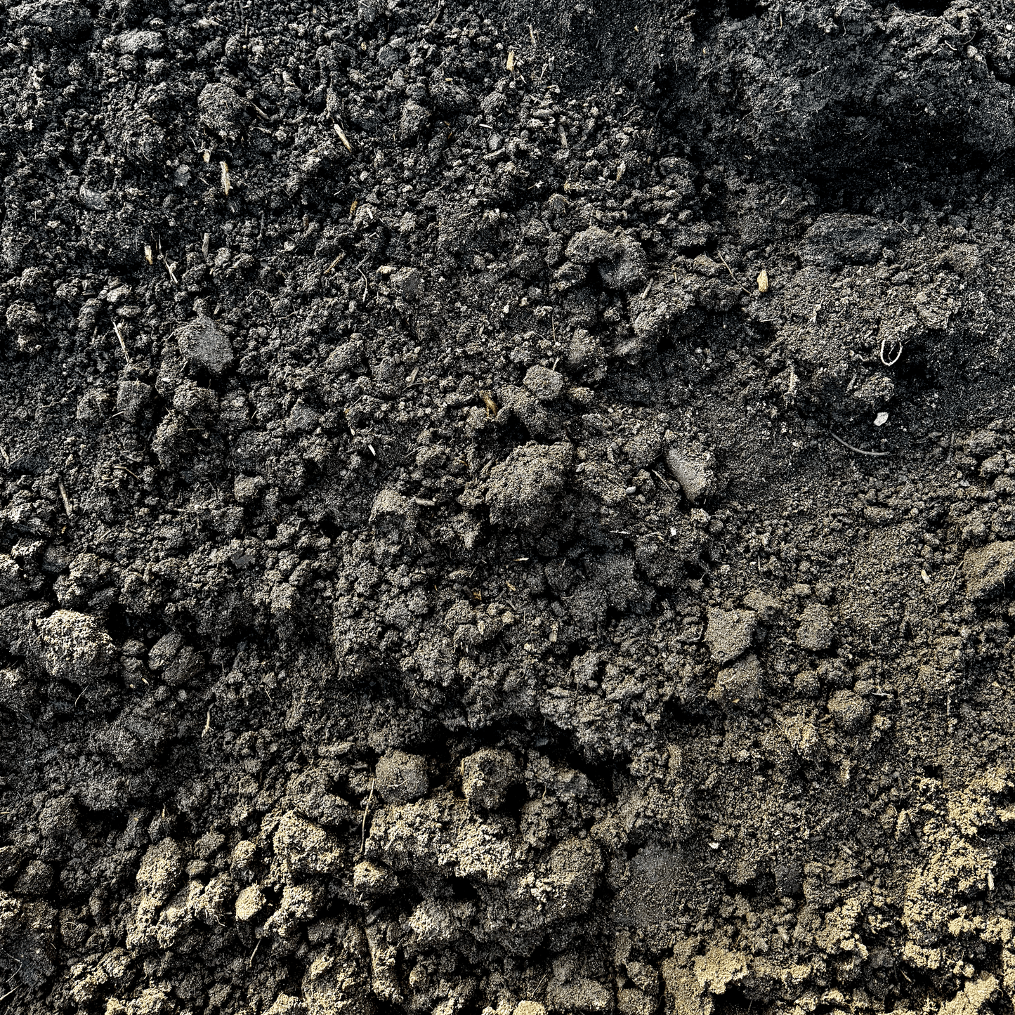 Compost